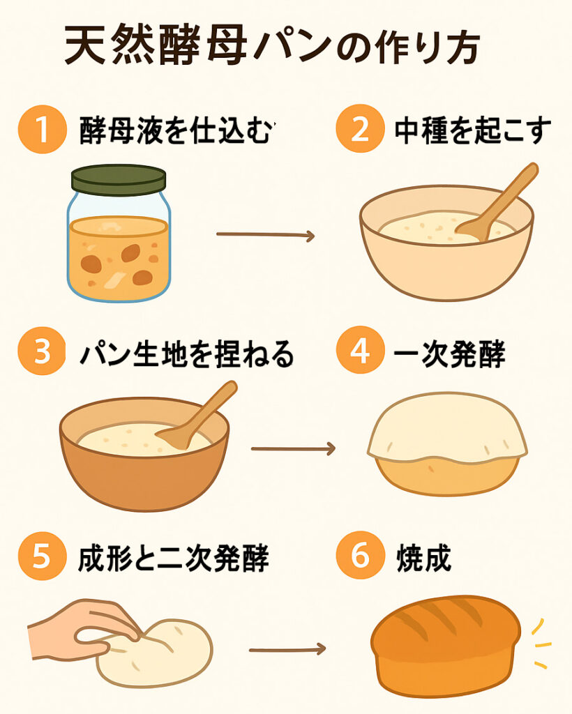 天然酵母パンの作り方の流れ図解