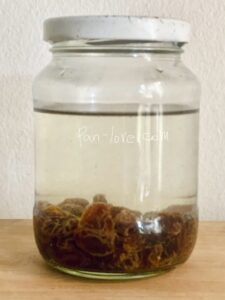 レーズン酵母の作り方１日目