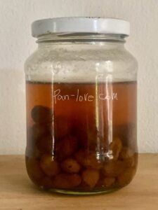 レーズン酵母の作り方４日目