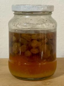 レーズン酵母液